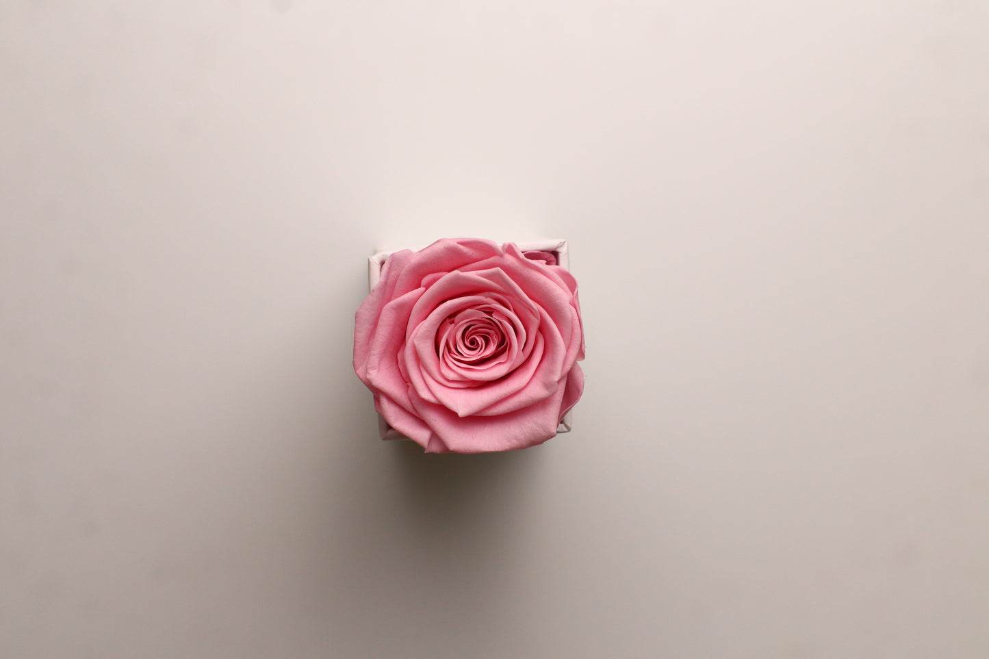 1 Pink Square White Box