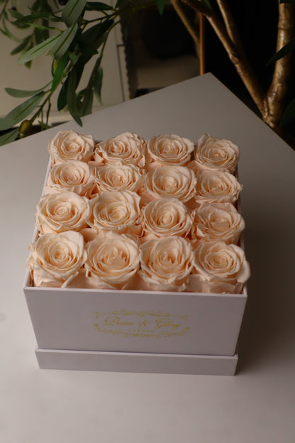 16 Champagne Square White Box