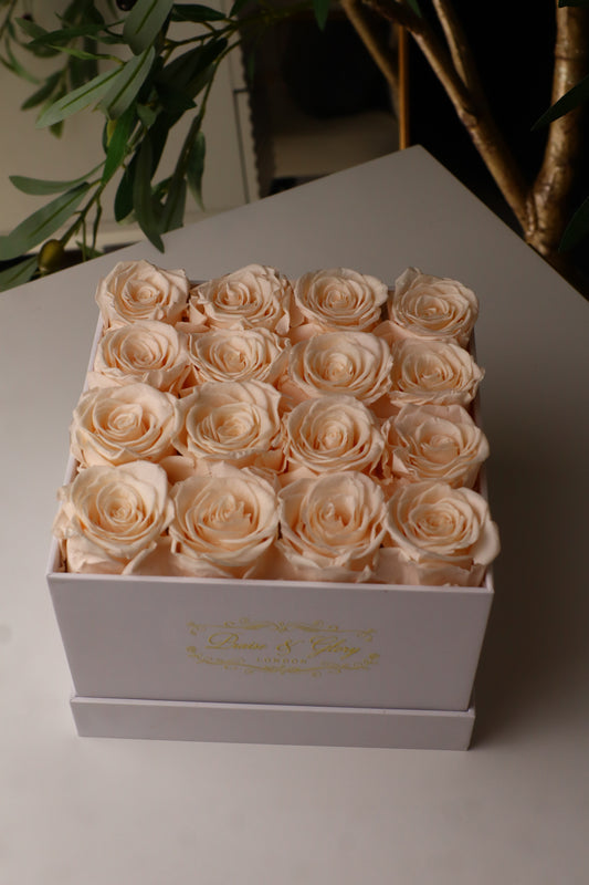 16 Champagne Square White Box