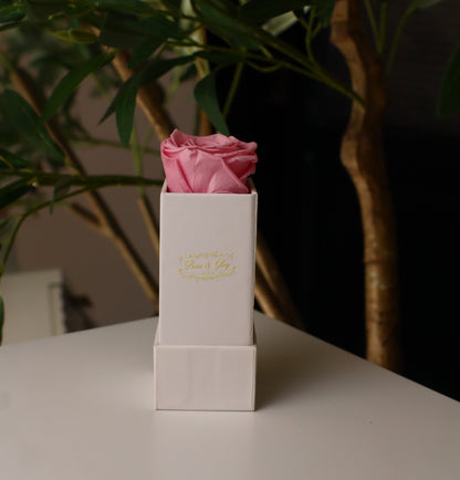 1 Pink Square White Box