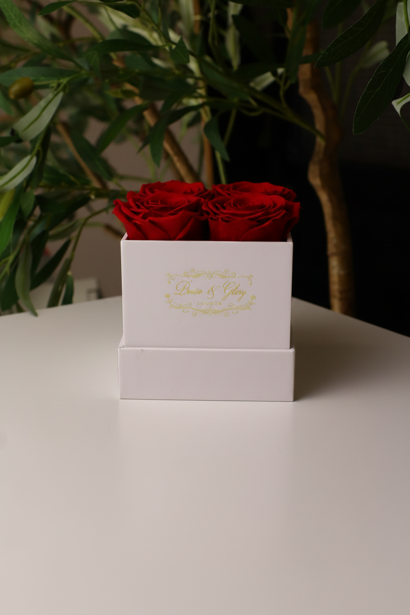 4  Red Square White Box