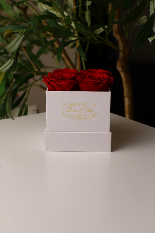 4  Red Square White Box