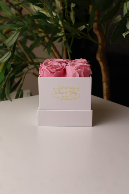 4 Pink Square White Box