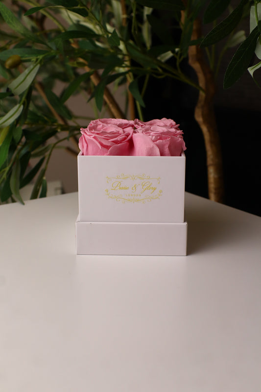 4 Pink Square White Box