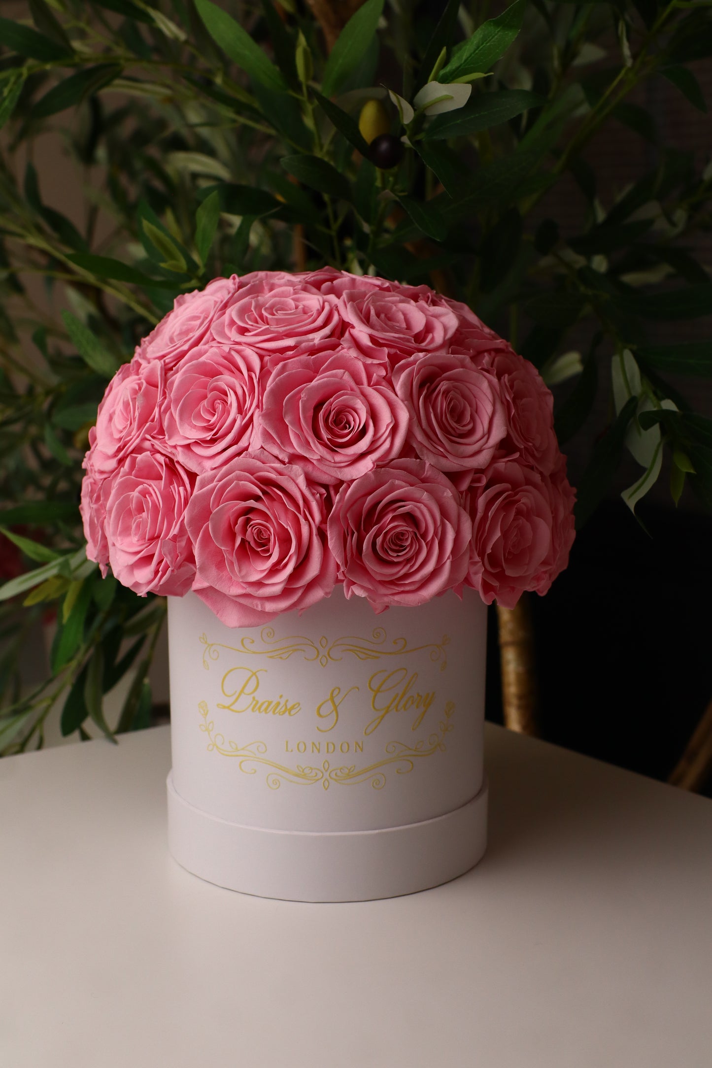 35 Pink Dome White Box