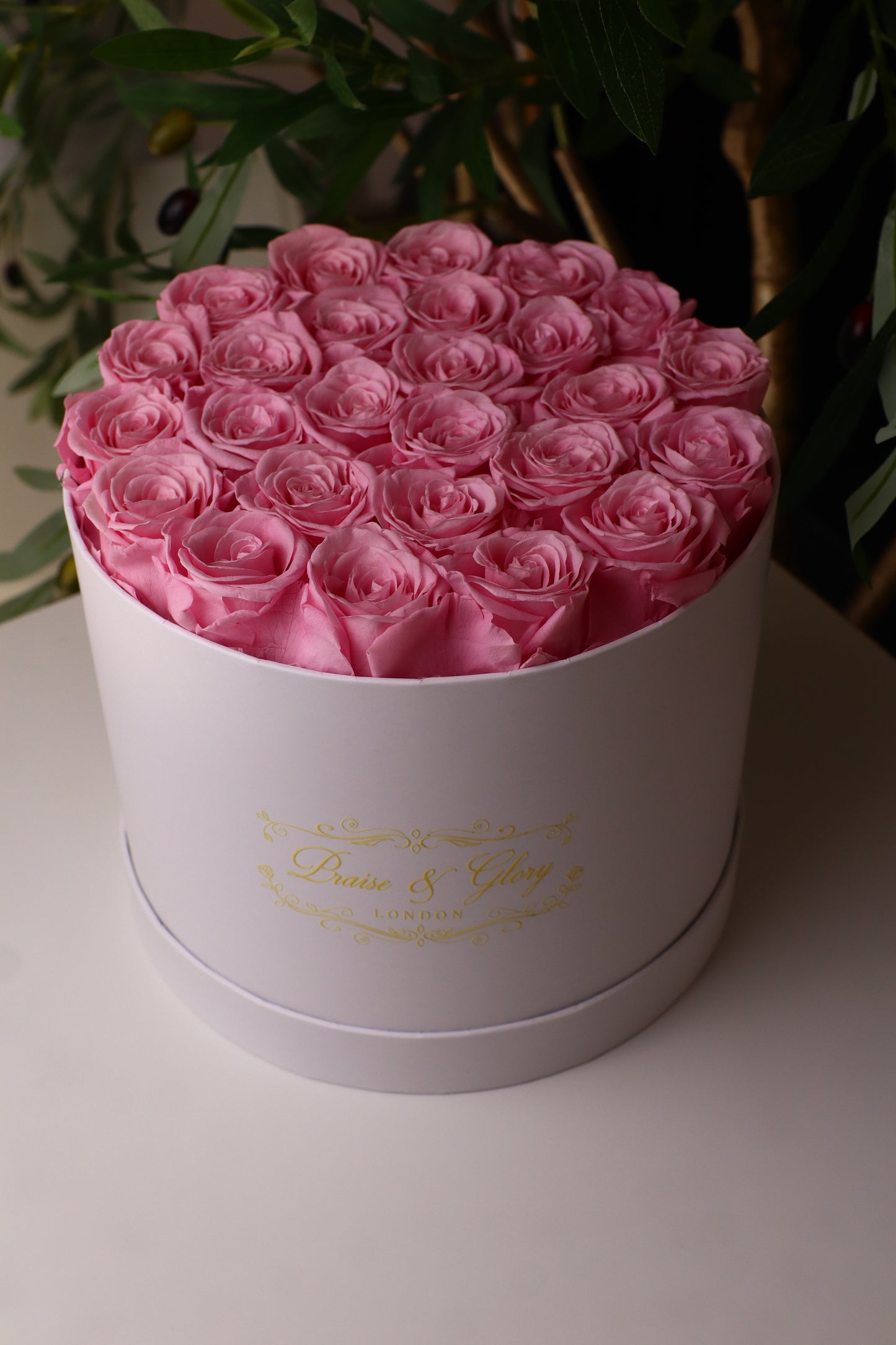 26 Pink Round White Box
