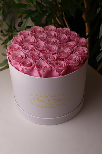 26 Pink Round White Box
