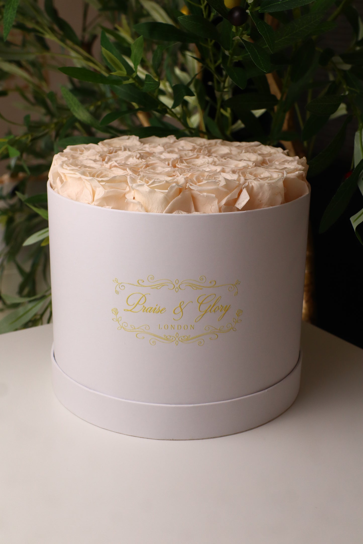 26 Champagne Round White Box