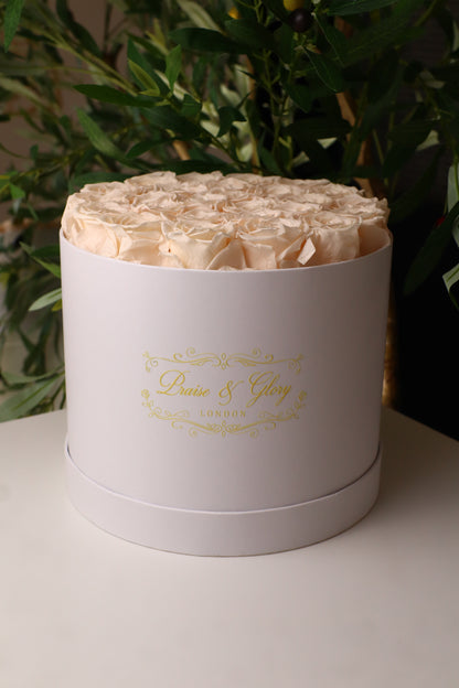 26 Champagne Round White Box