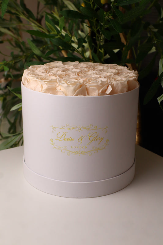 26 Champagne Round White Box