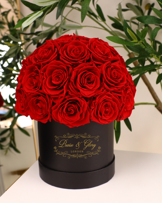 24 Red Dome Black Box