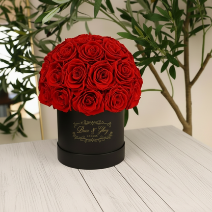 35 Red Dome Black Box