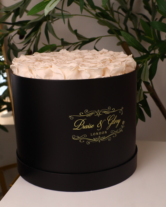 26 Champagne Round Black Box