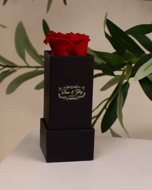 1 Red Square Black Box