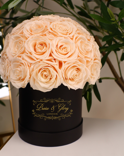 35 Champagne Dome Black Box