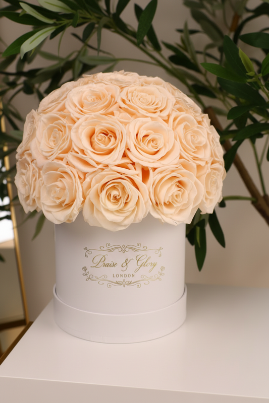 24 Champagne Roses White Box