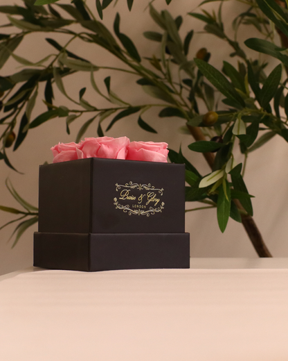 4 Pink Square Black Box