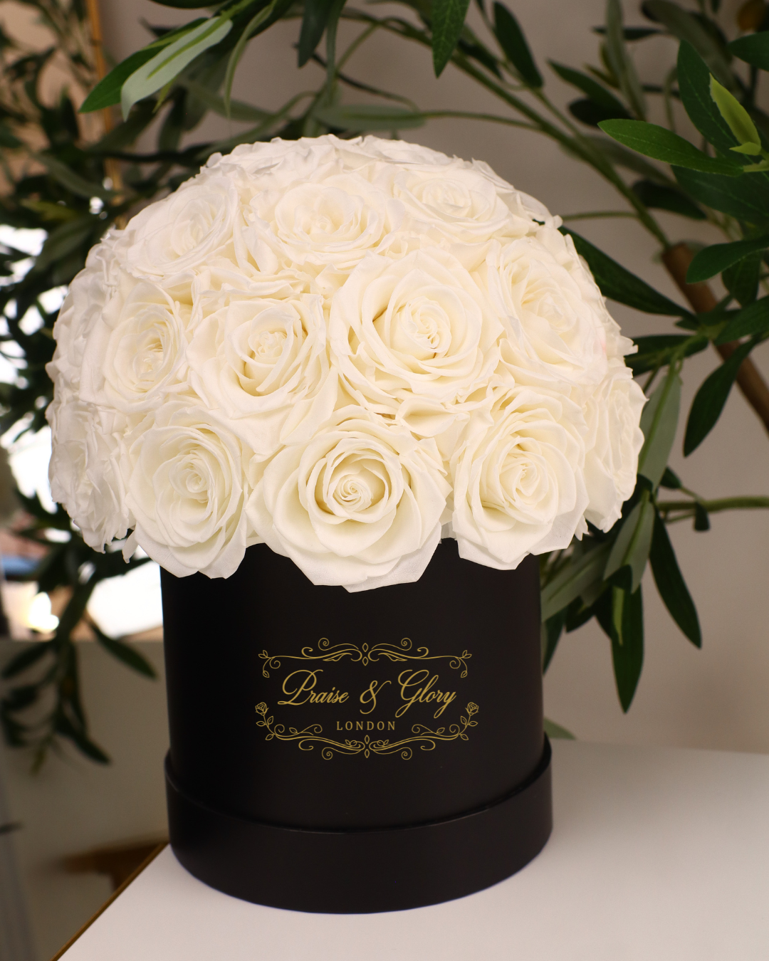 24 White Dome Black Box