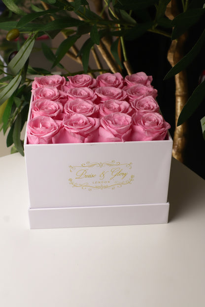 16 Pink Square White Box