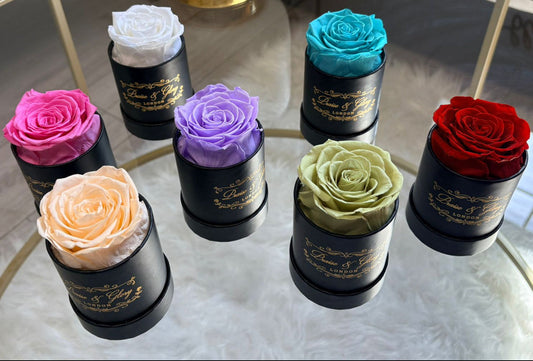 1 Round Rose Spring Edition