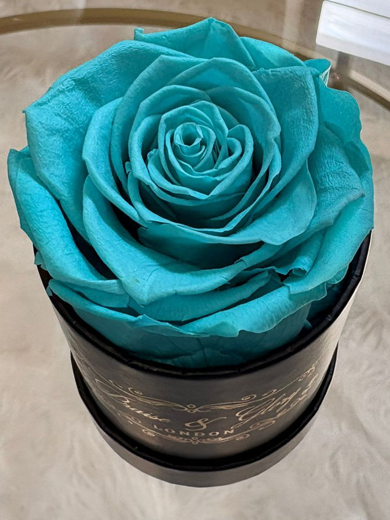 1 Round Rose Spring Edition