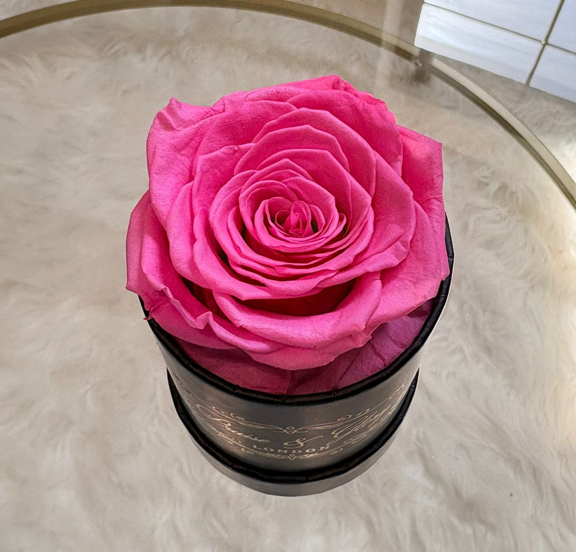 1 Round Rose Spring Edition