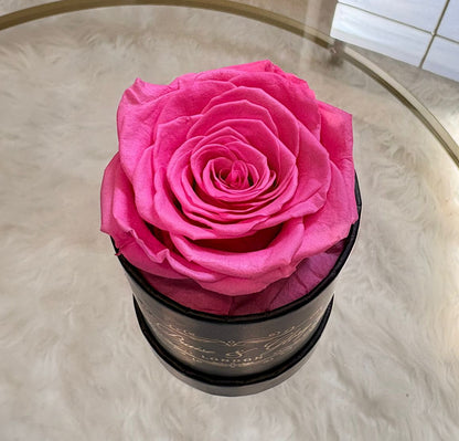 1 Round Rose Spring Edition