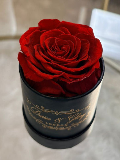 1 Round Rose Spring Edition