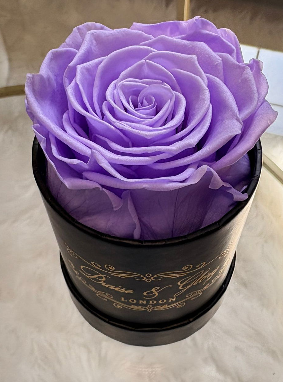 1 Round Rose Spring Edition