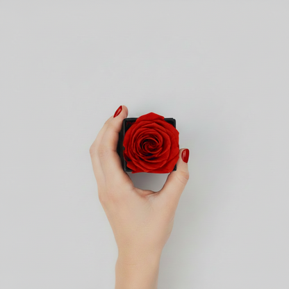 1 Red Square Black Box